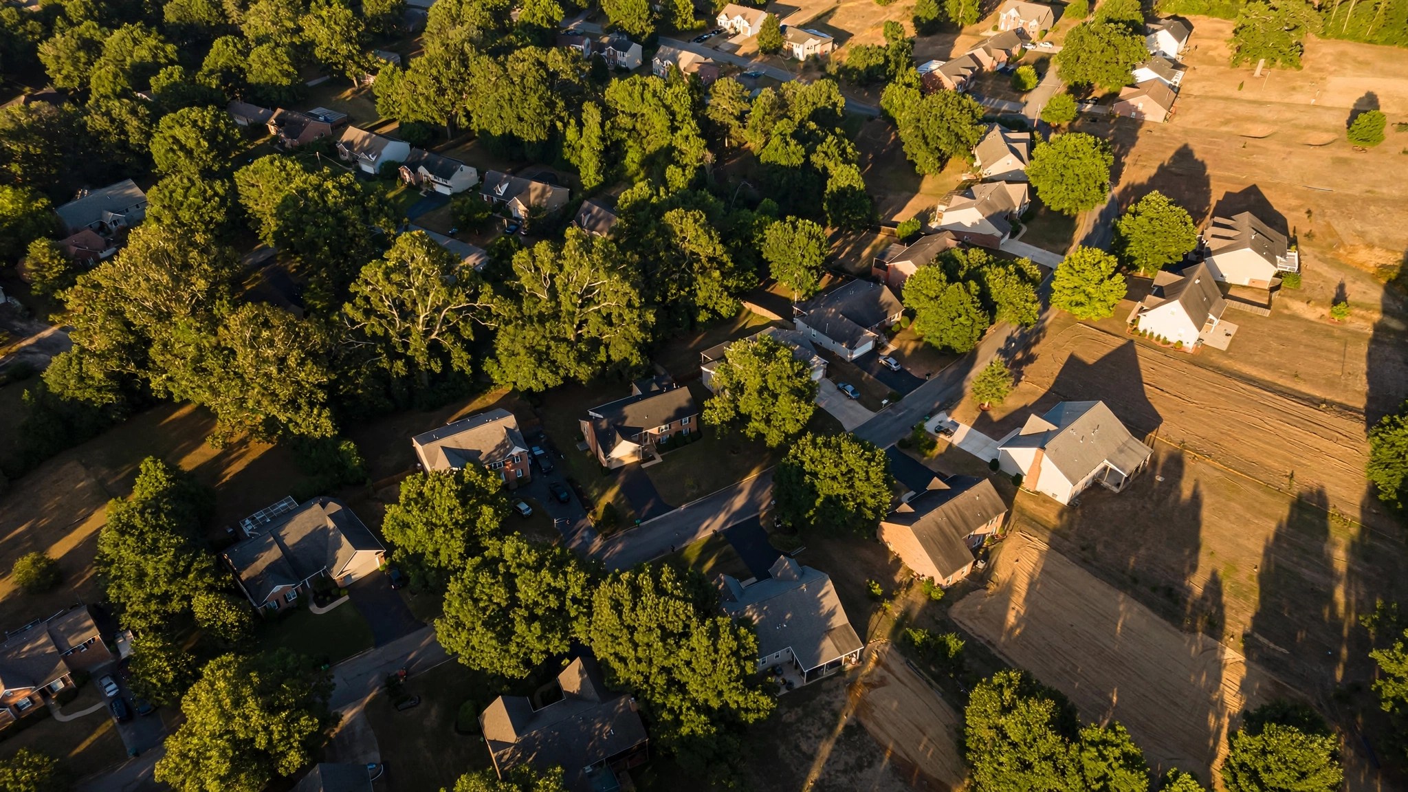 Aerial view of residential neighborhood with mature tree canopy shading rooftops and driveways