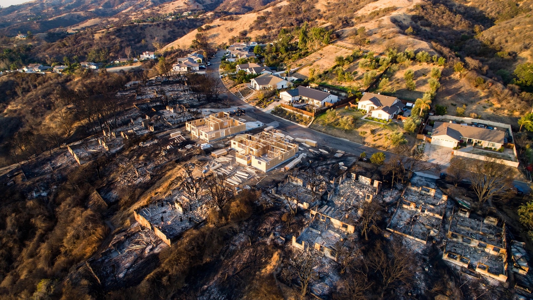 Aerial view of a California hillside neighborhood with burned lots adjacent to standing homes, wildfire defensible space visible around surviving structures
